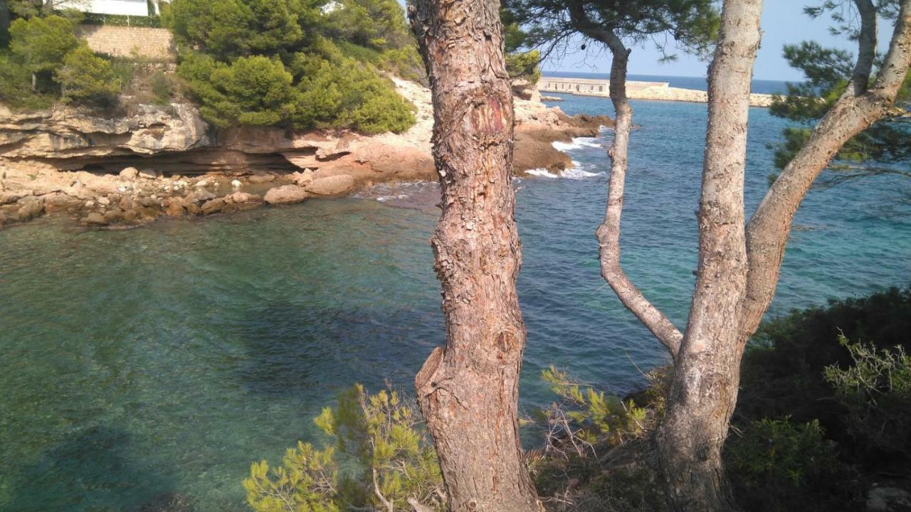 Mi Morena Cala Llobeta 35 L'Ametlla de Mar Extérieur photo